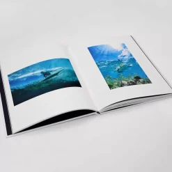 OXBOW Book HONO Uni Cheap