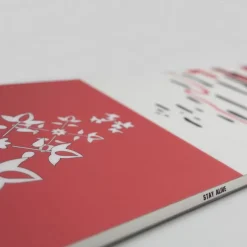 OXBOW Snowboard HYACINTH - Salt Clearance